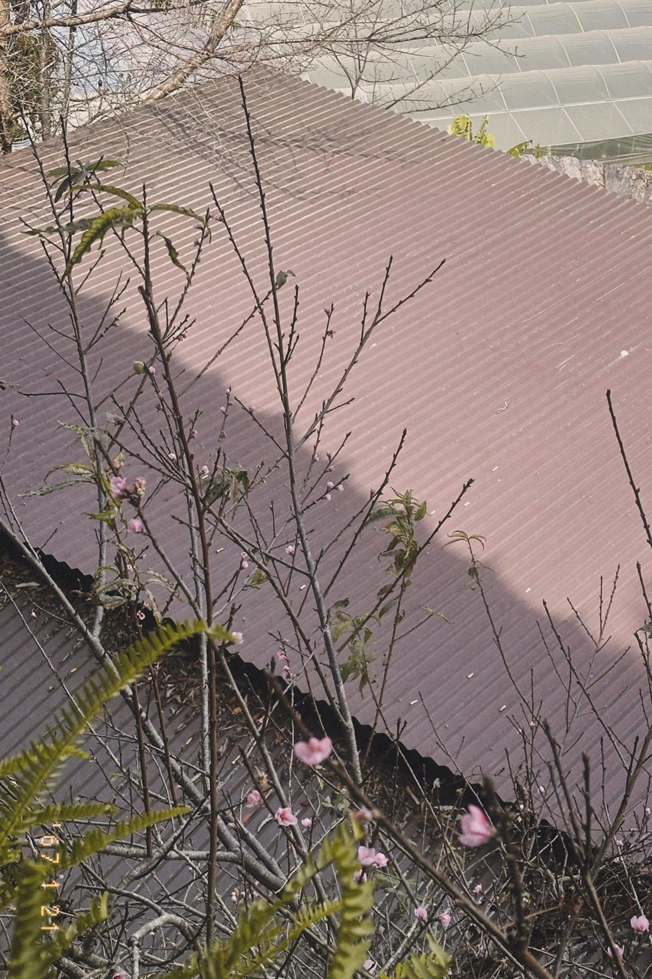 Hong Nhan Hotel Da Lat Eksteriør billede